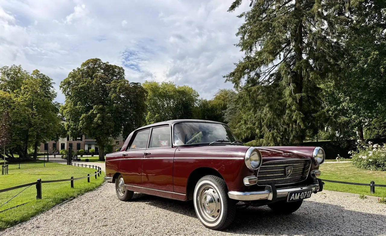 Donkerrode klassieke Peugeot-sedan met witte banden op een grindpad, met hoge bomen, een gazon en een landhuis op de achtergrond