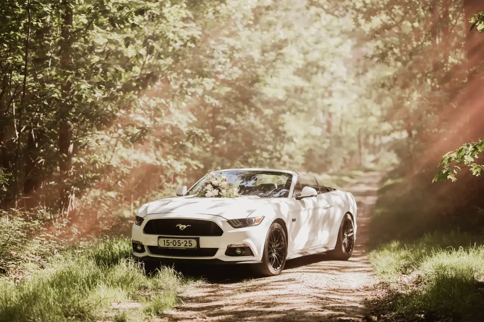 Ford Mustang 5.0 V8 Cabrio Performance