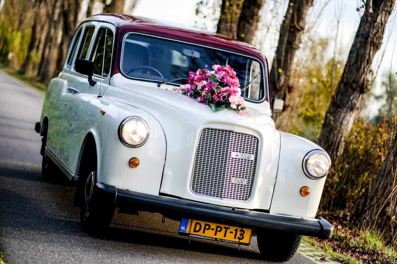 White Austin FX4 London taxi with a burgundy roof and a bouquet of pink flowers on the bonnet, on a tree-lined road