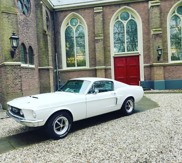 Ford Mustang Shelby GT500 tribute