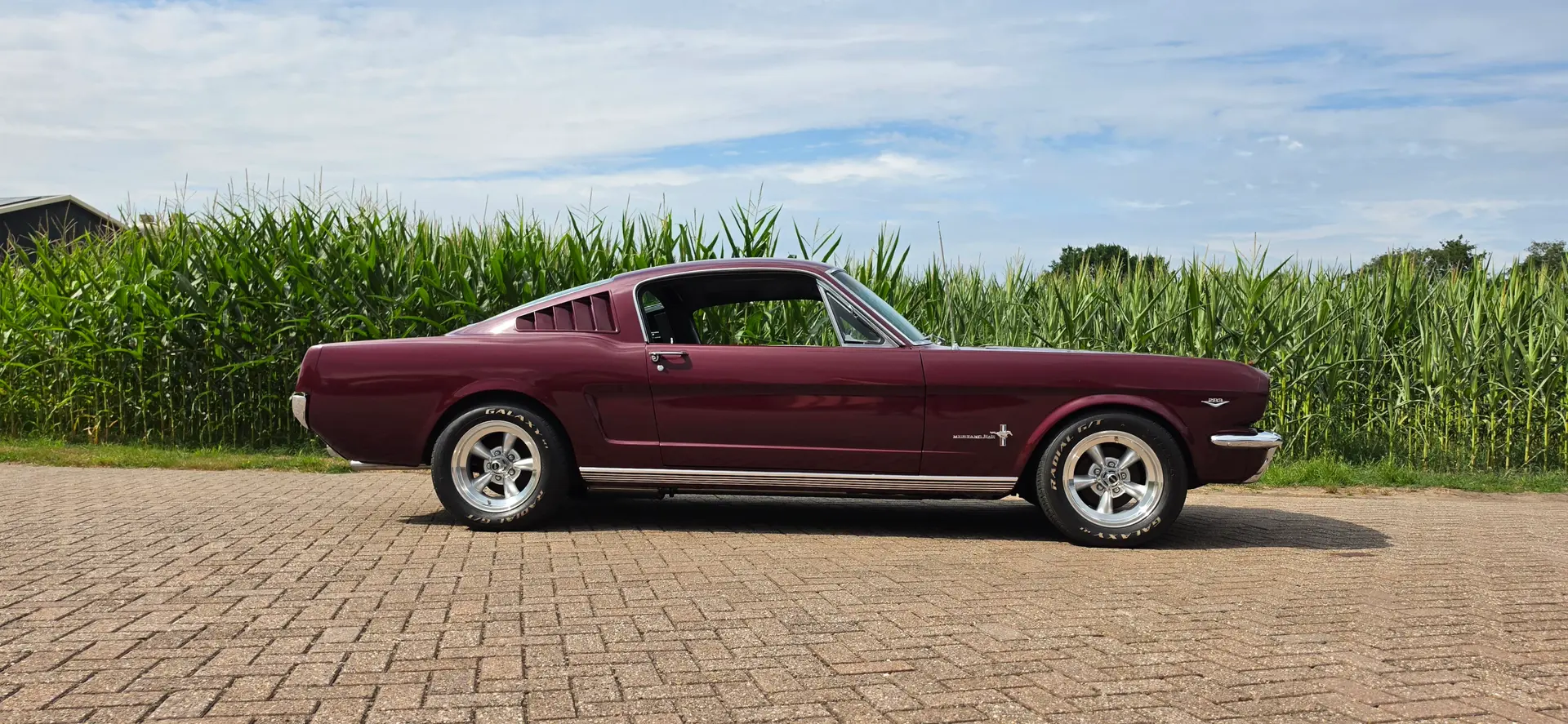 Ford Mustang fastbck shelby rood