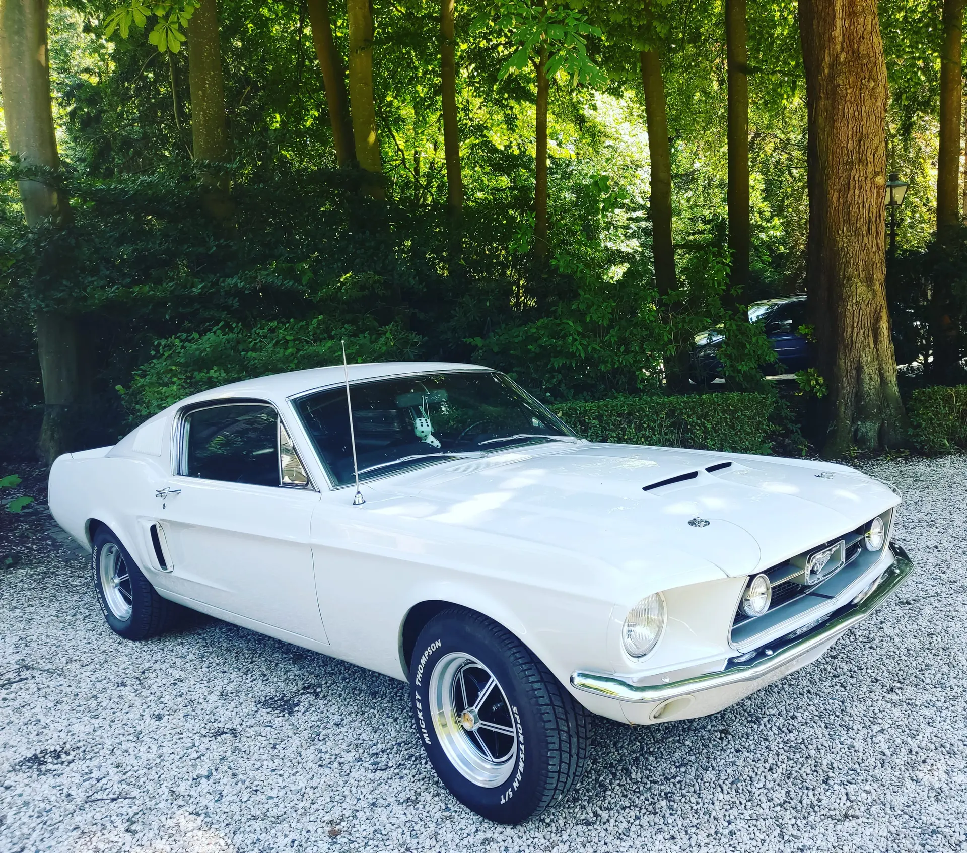 Ford Mustang Shelby GT500 tribute
