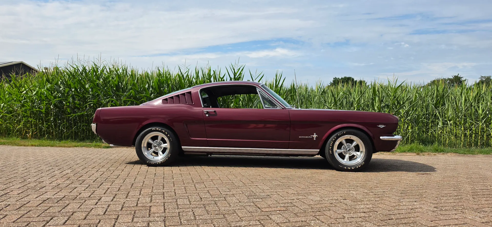 Ford Mustang fastbck shelby rood