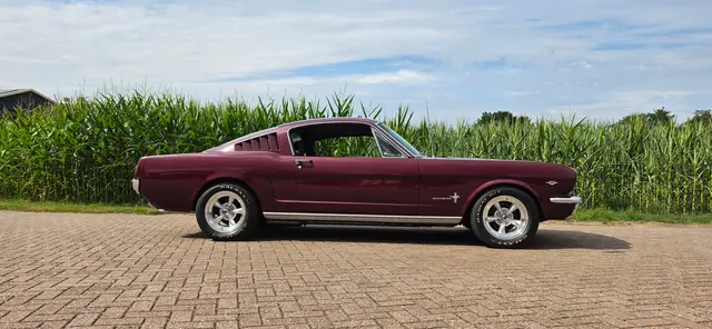Ford Mustang fastbck shelby rood