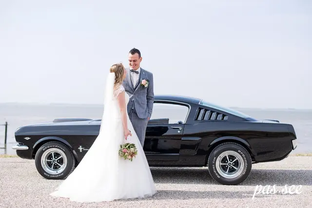 Ford Mustang Shelby