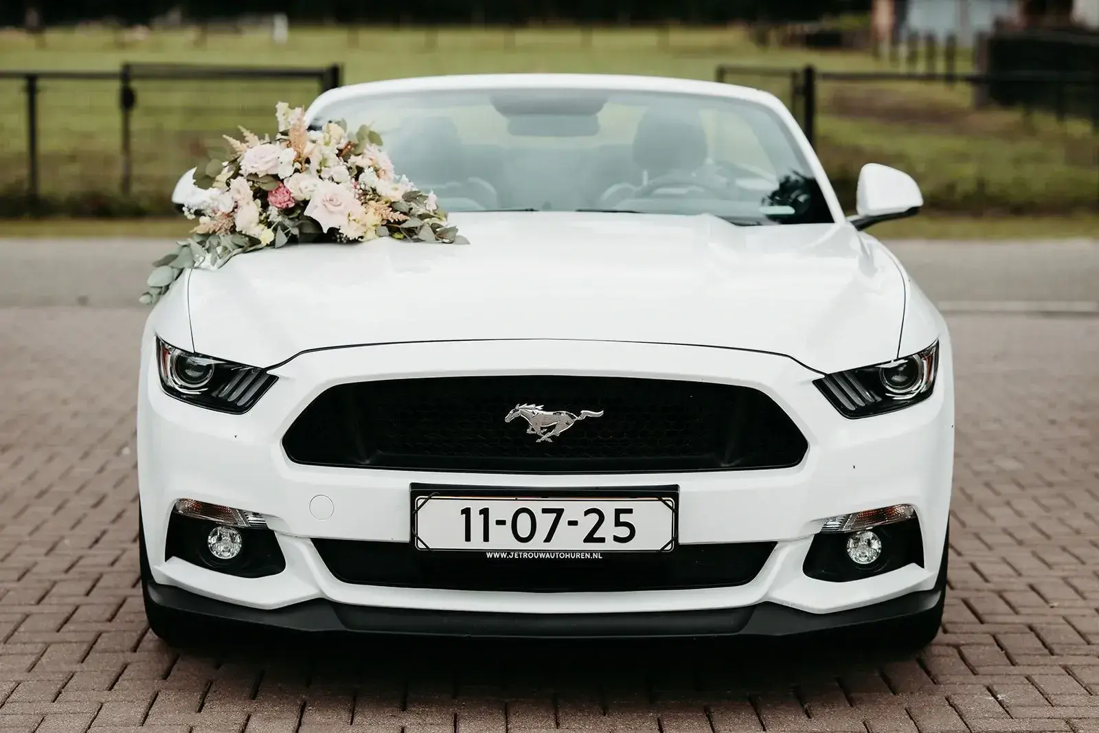 Ford Mustang 5.0 V8 Cabrio Performance