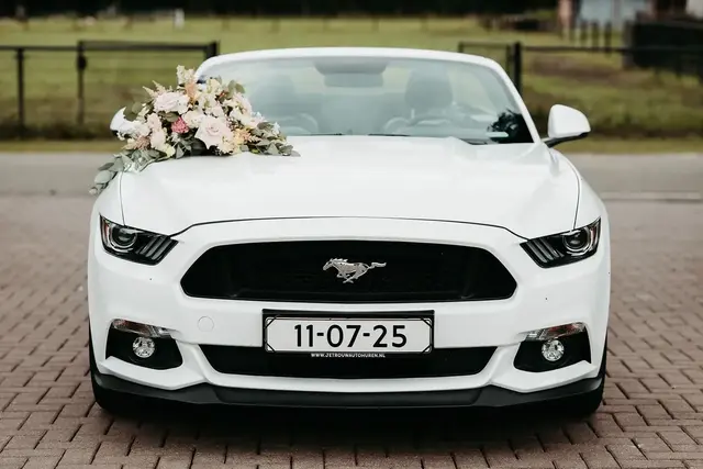 Ford Mustang 5.0 V8 Cabrio Performance
