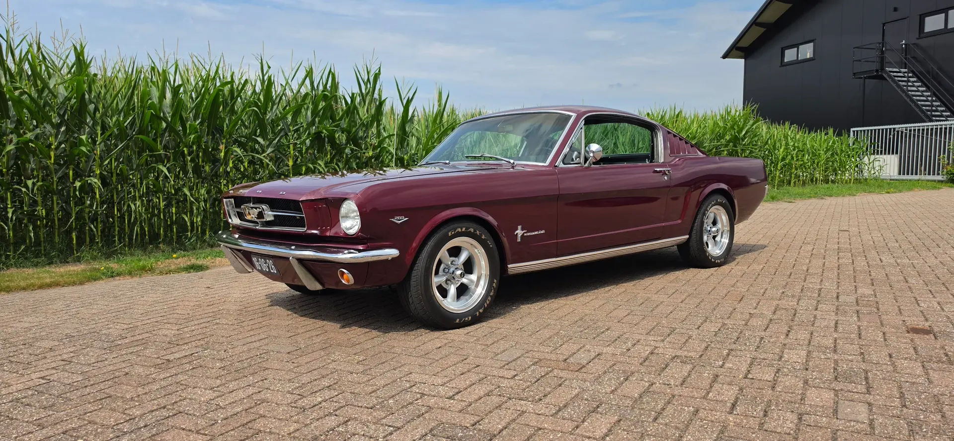 Ford Mustang fastbck shelby rood