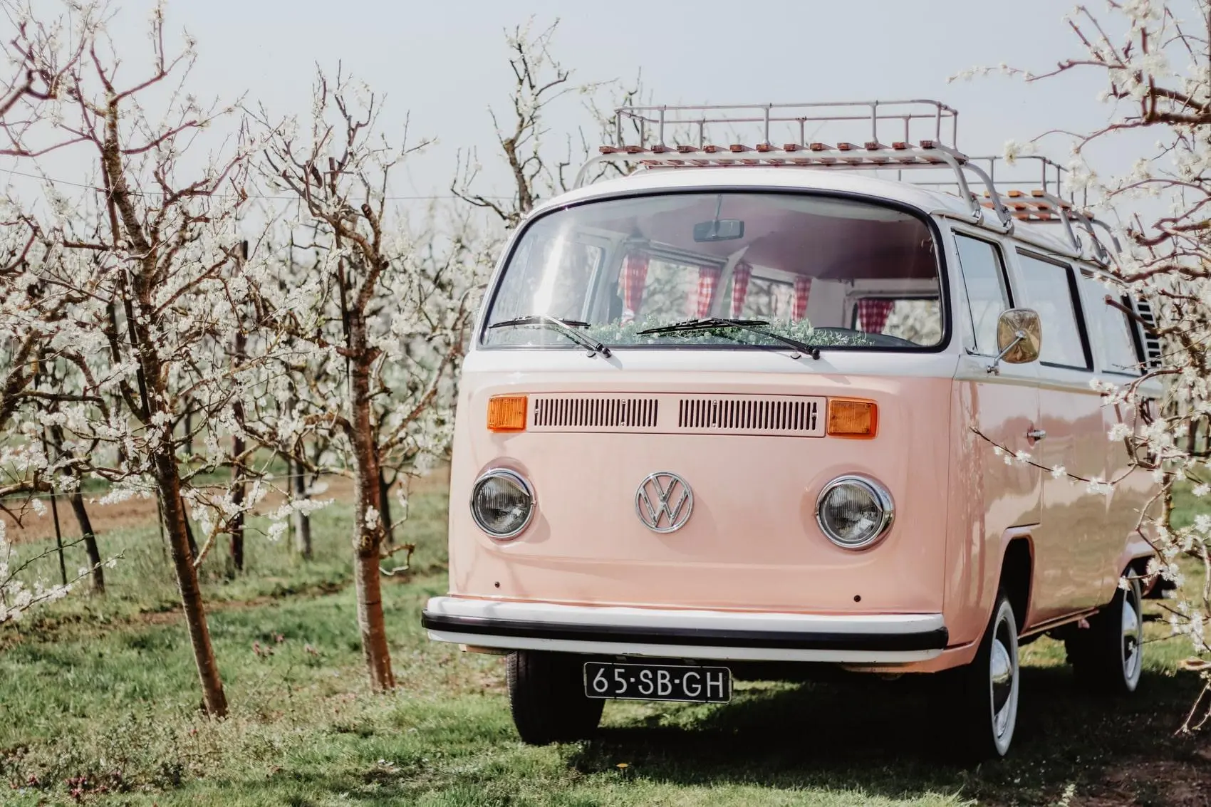Volkswagen T2 Miss Peach