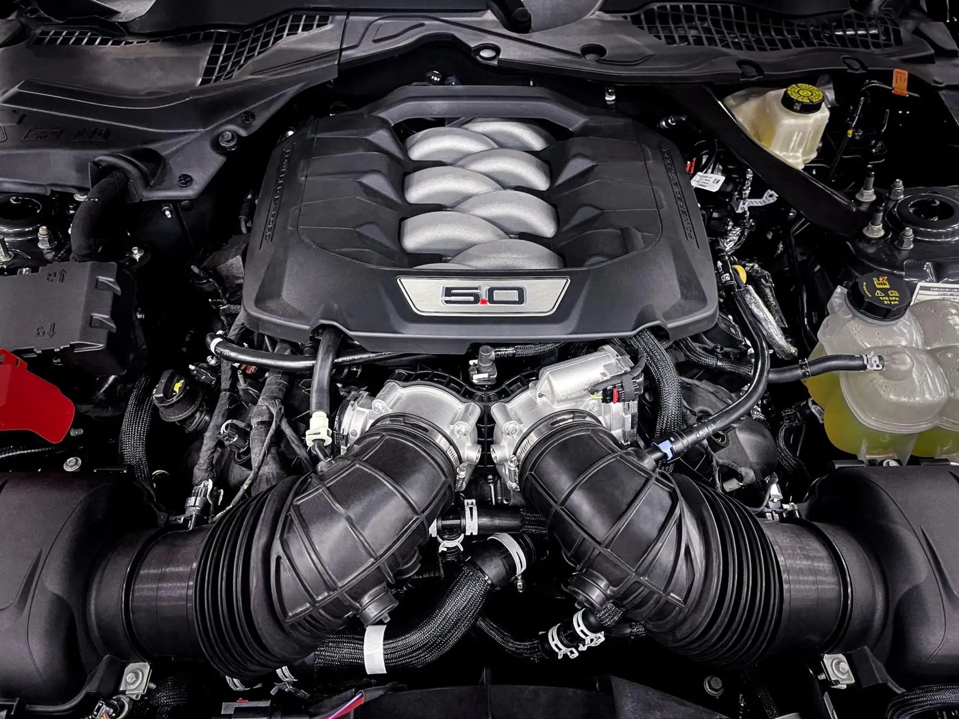 Ford Mustang Cabrio 5.0 V8