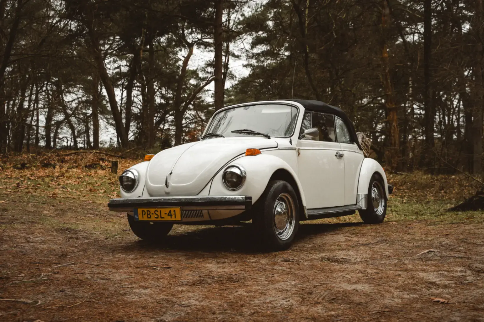 We Love Oldtimers, photo 5