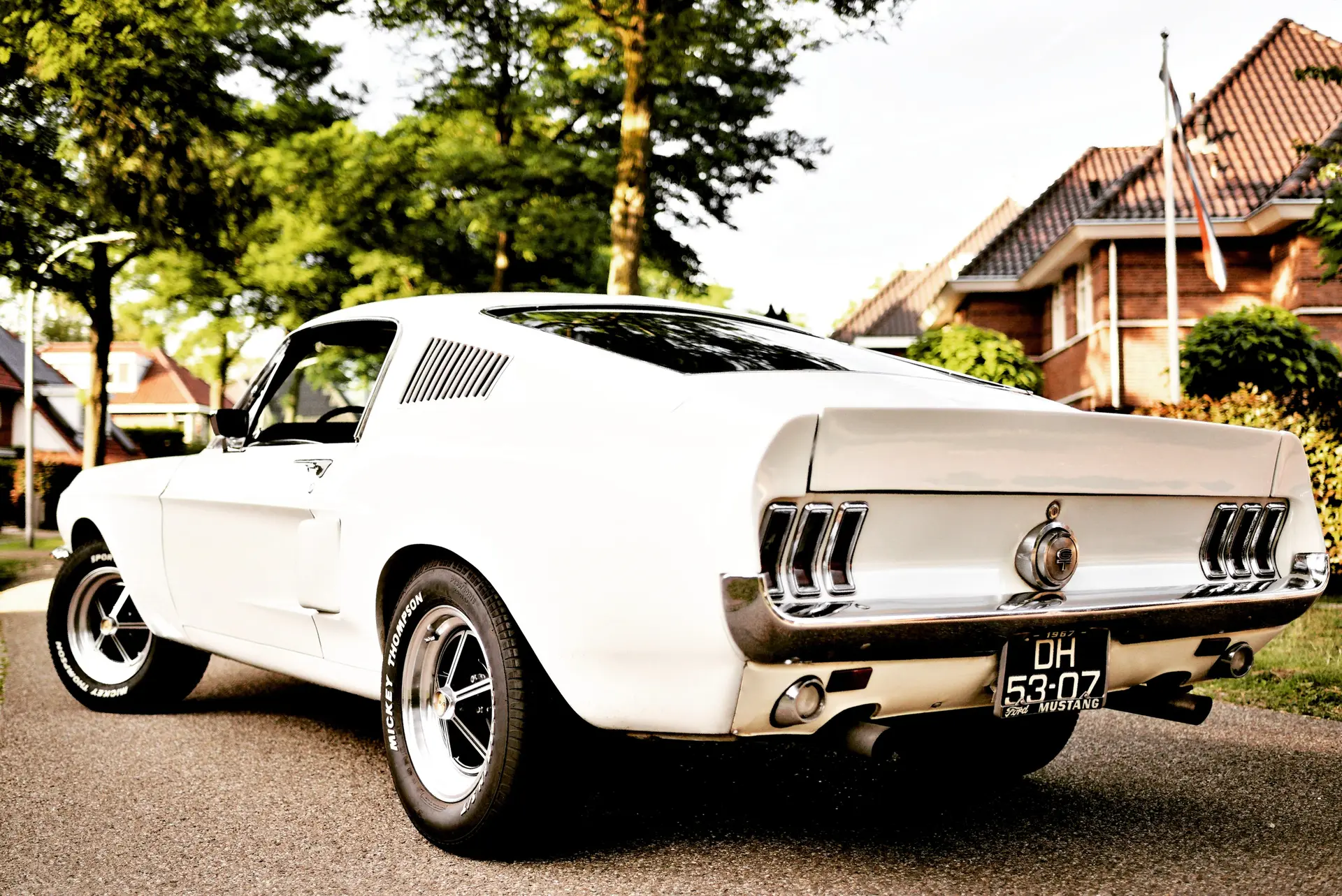Ford Mustang Shelby GT500 tribute