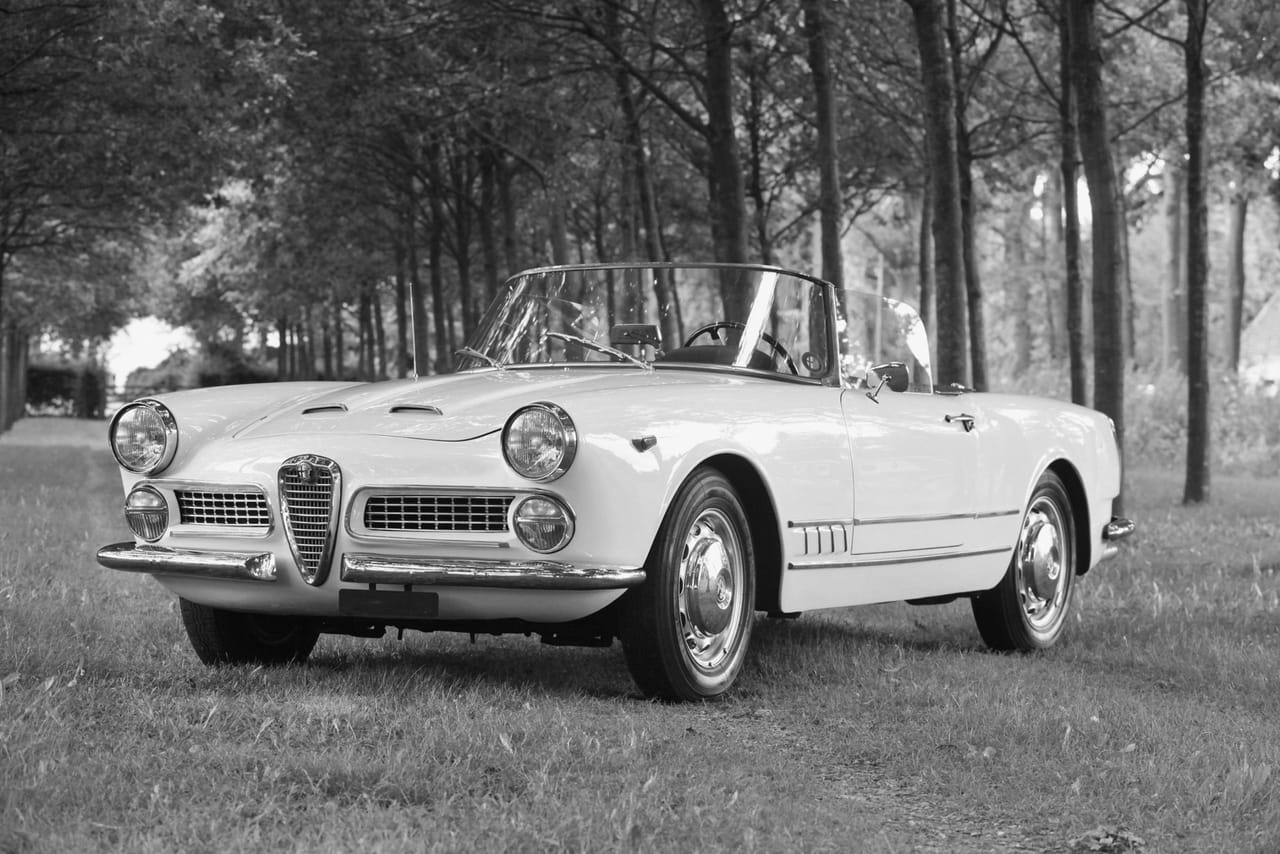 White Alfa Romeo Spider with the roof down on a lawn in a tree-lined avenue, in black and white