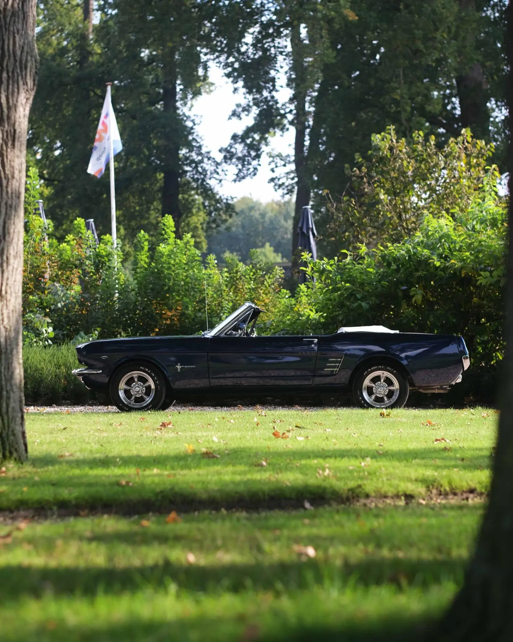 Ford Mustang V8 Shelby