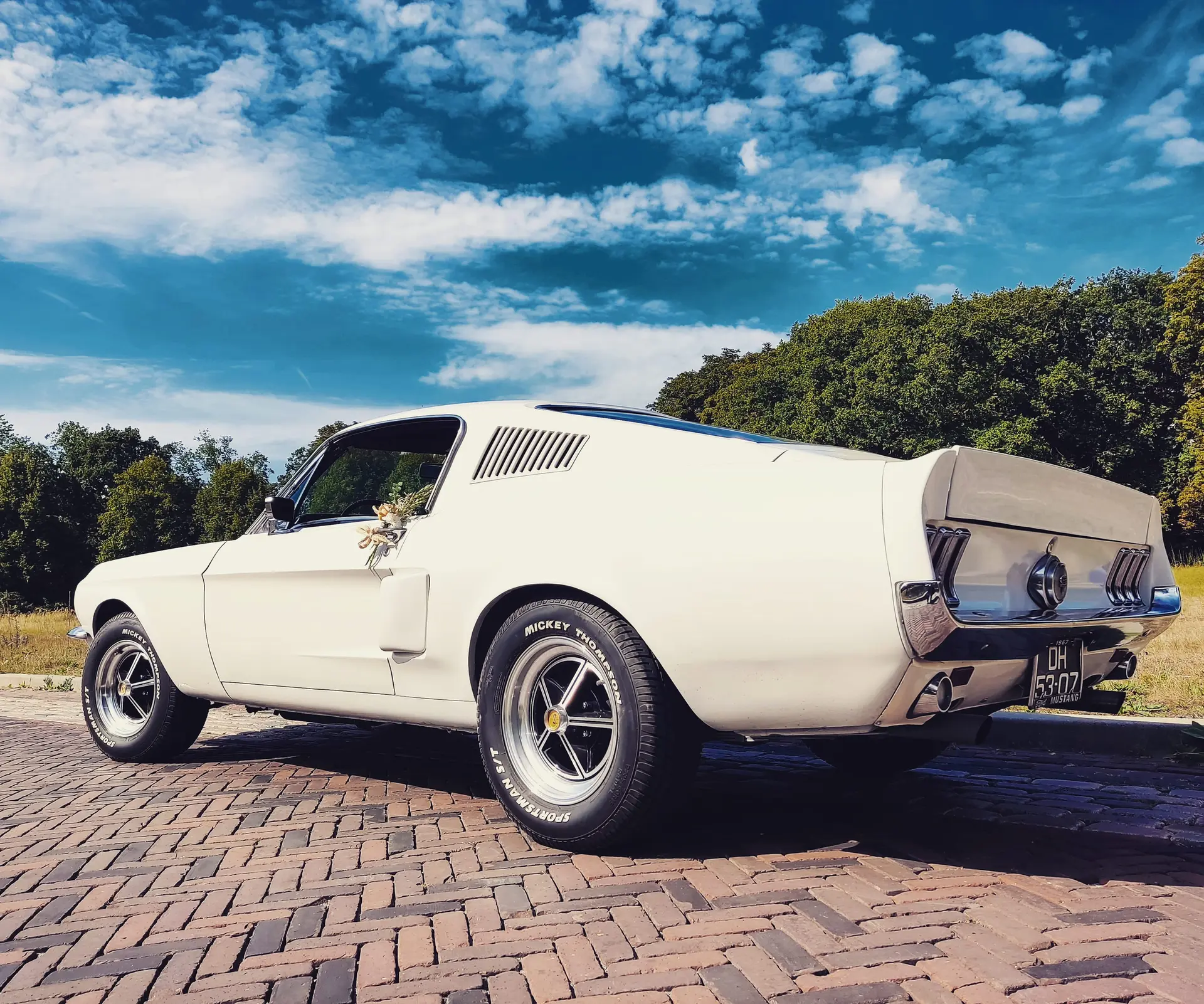 Ford Mustang Shelby GT500 tribute